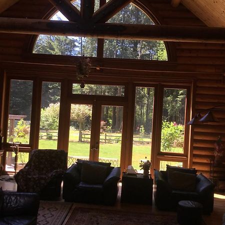 Redwood Forest Crescent City Buitenkant foto