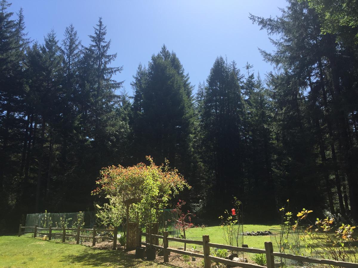 Redwood Forest Crescent City Buitenkant foto