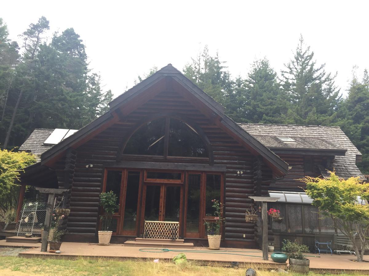 Redwood Forest Crescent City Buitenkant foto
