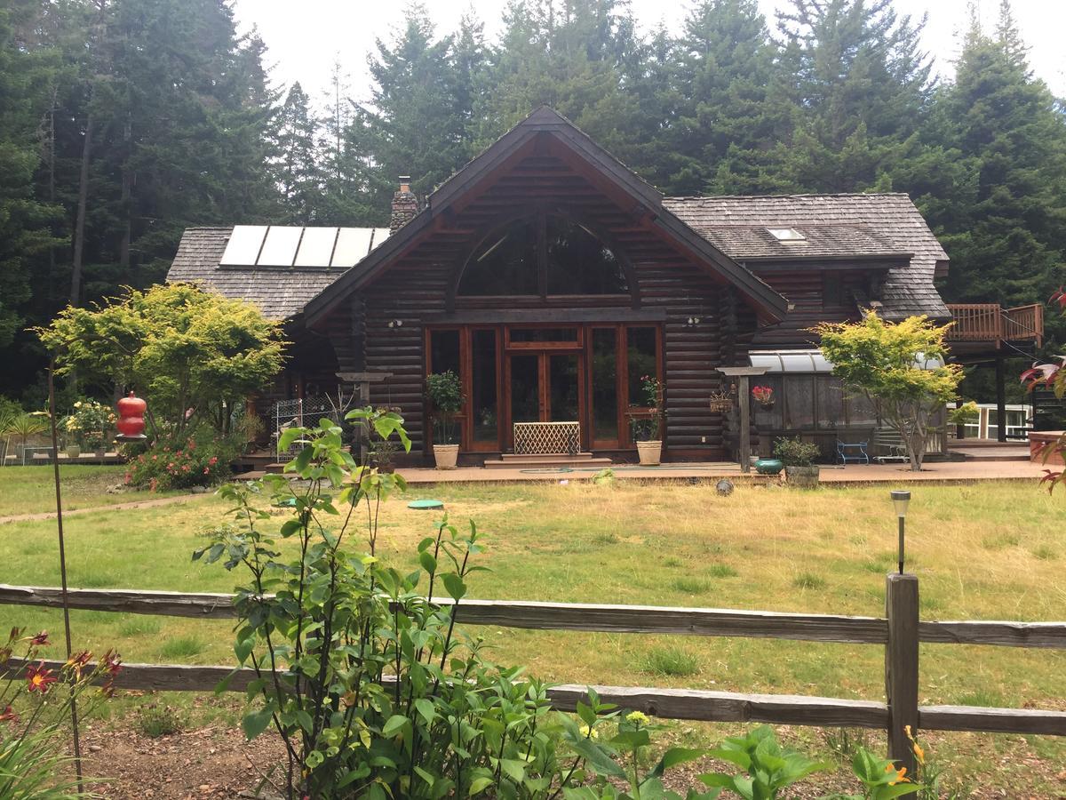 Redwood Forest Crescent City Buitenkant foto