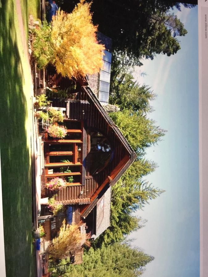Redwood Forest Crescent City Buitenkant foto